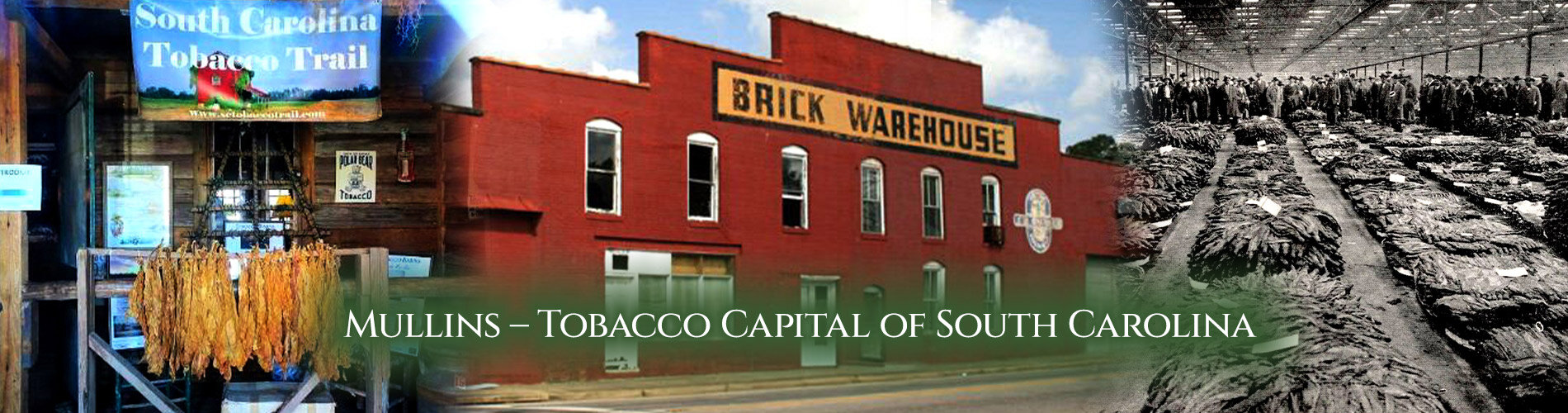 Collage of historical tobacco photos