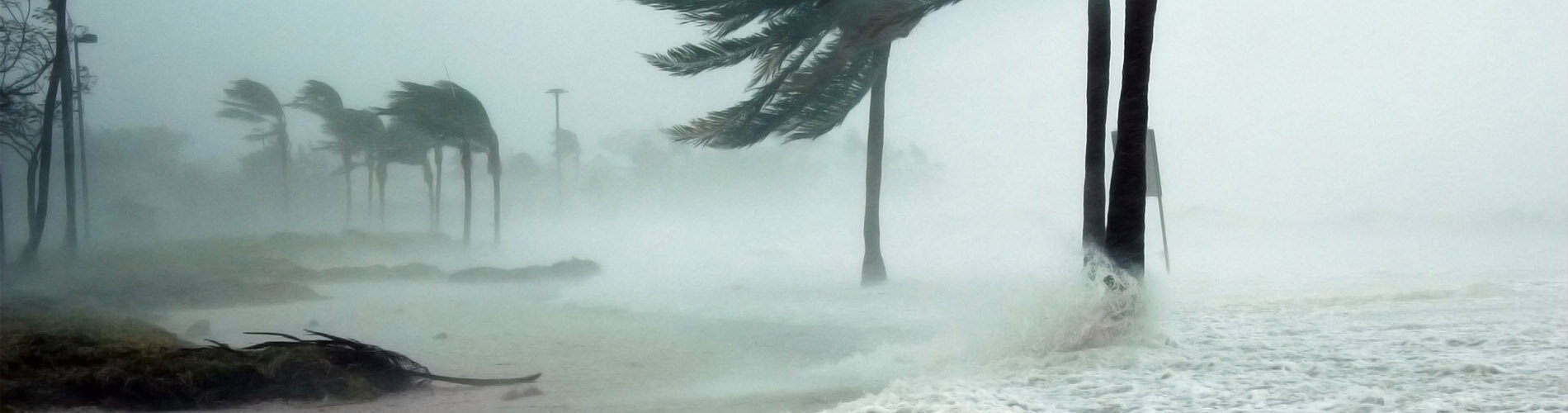 A hurricane blows through a beach.