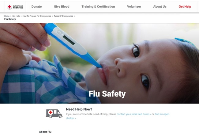 Website window with a child holding a thermometer in their mouth and the text, flu safety.